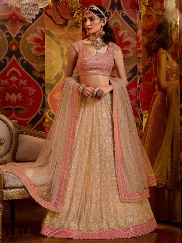 Baby Pink Embroidered Lehenga