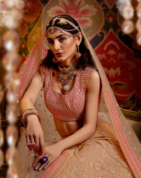 Baby Pink Embroidered Lehenga