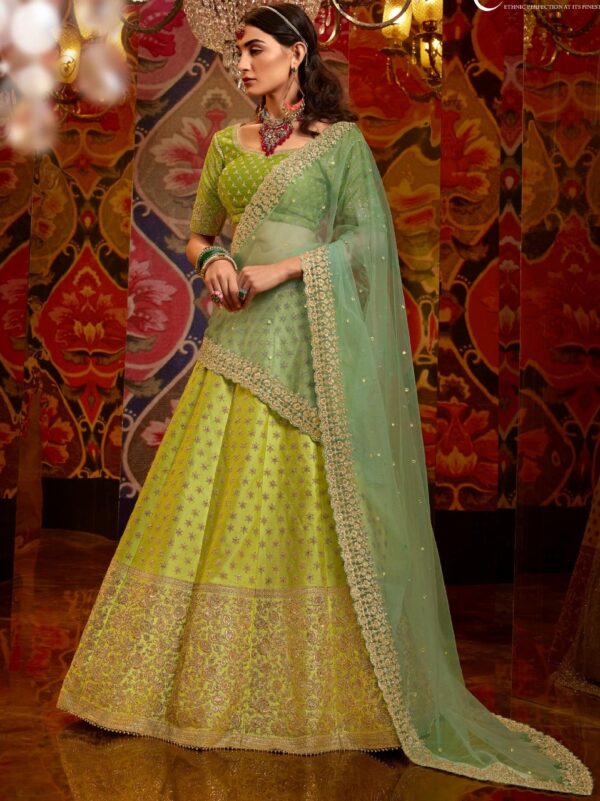 Green Net Embroidered Lehenga